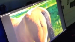 کلیپ خنده&zwnj;دار