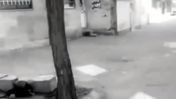 کلیپ خنده&zwnj;دار