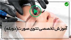 آموزش تاتو صورت-آموزش کامل تاتو صورت-نسبیت طلایی برای شکل متقارن