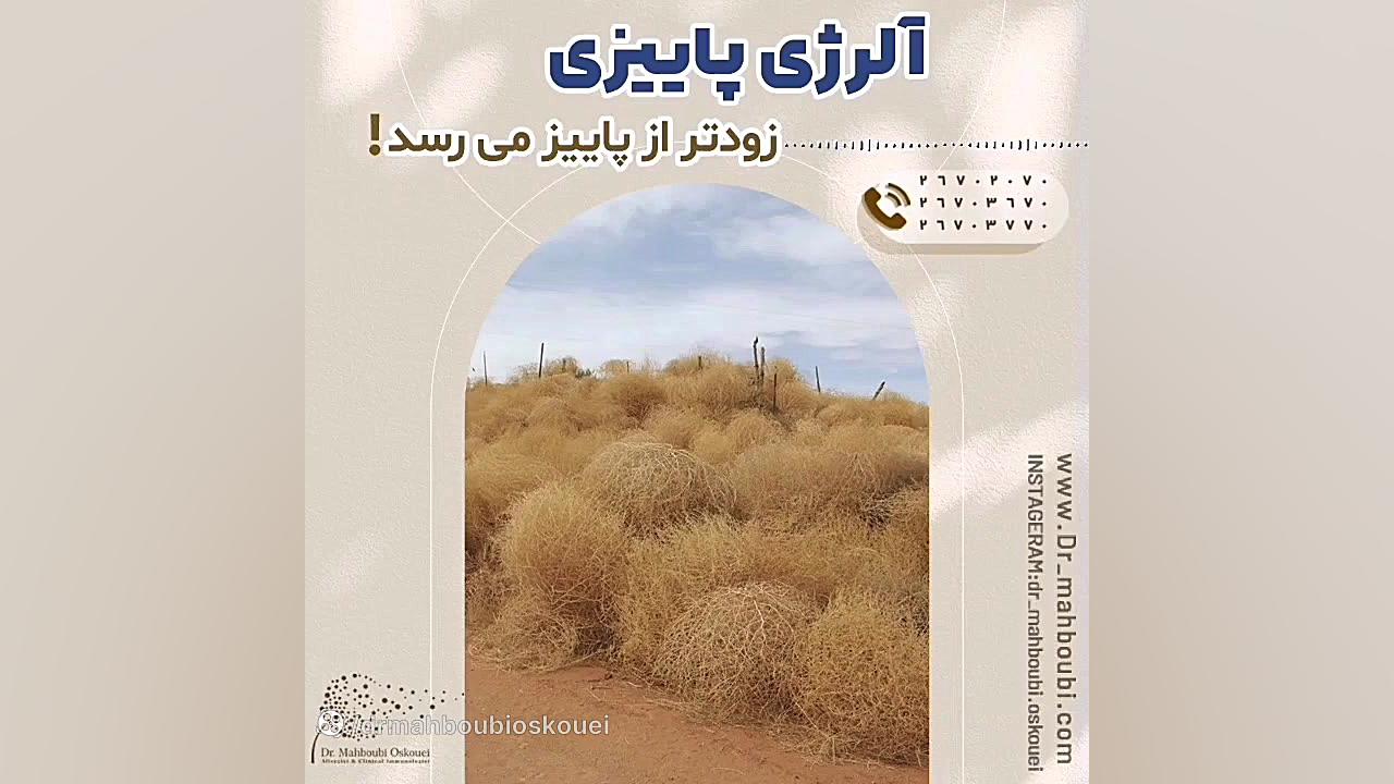الرژی پاییزی زودتر از پاییز می رسد دکتر یعقوب محبوبی اسکوئی