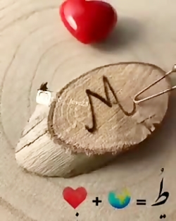 دوستت دارم عشق جانم