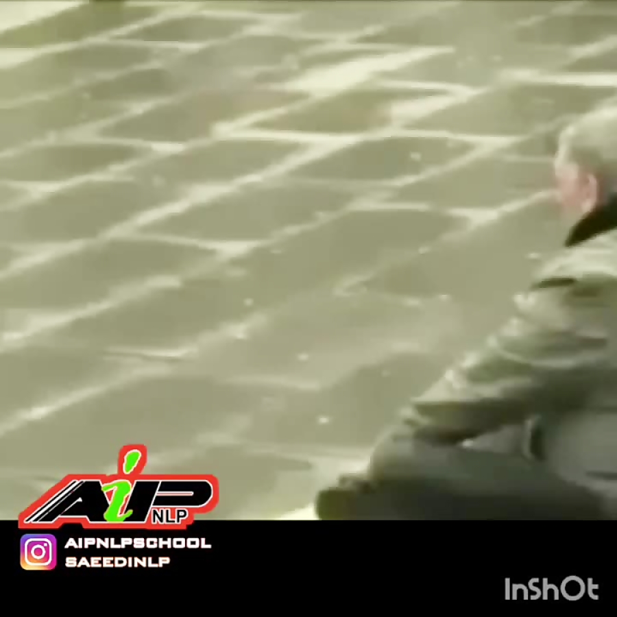 ان ال پی را بیشتر بشناسید