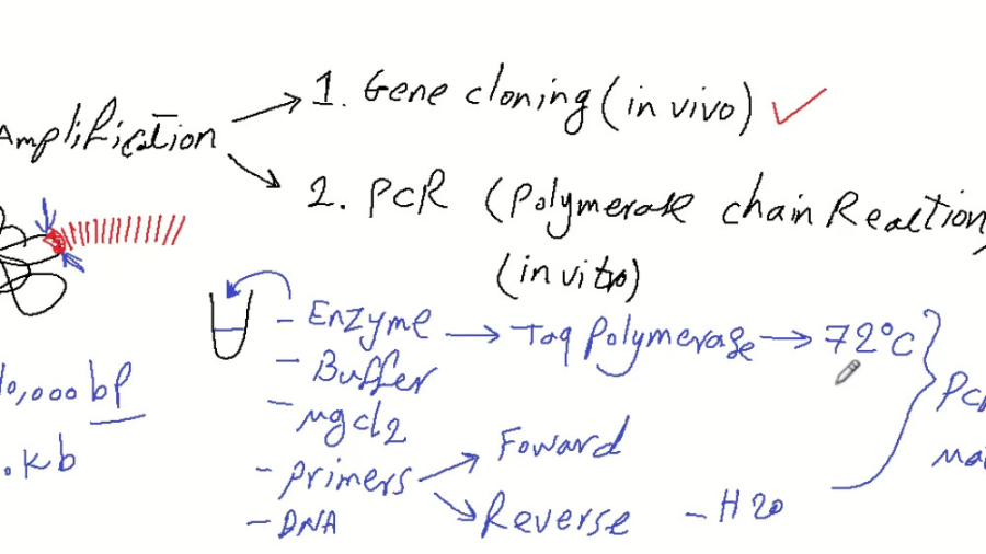 PCR (قسمت 1) بررسی لک صورت