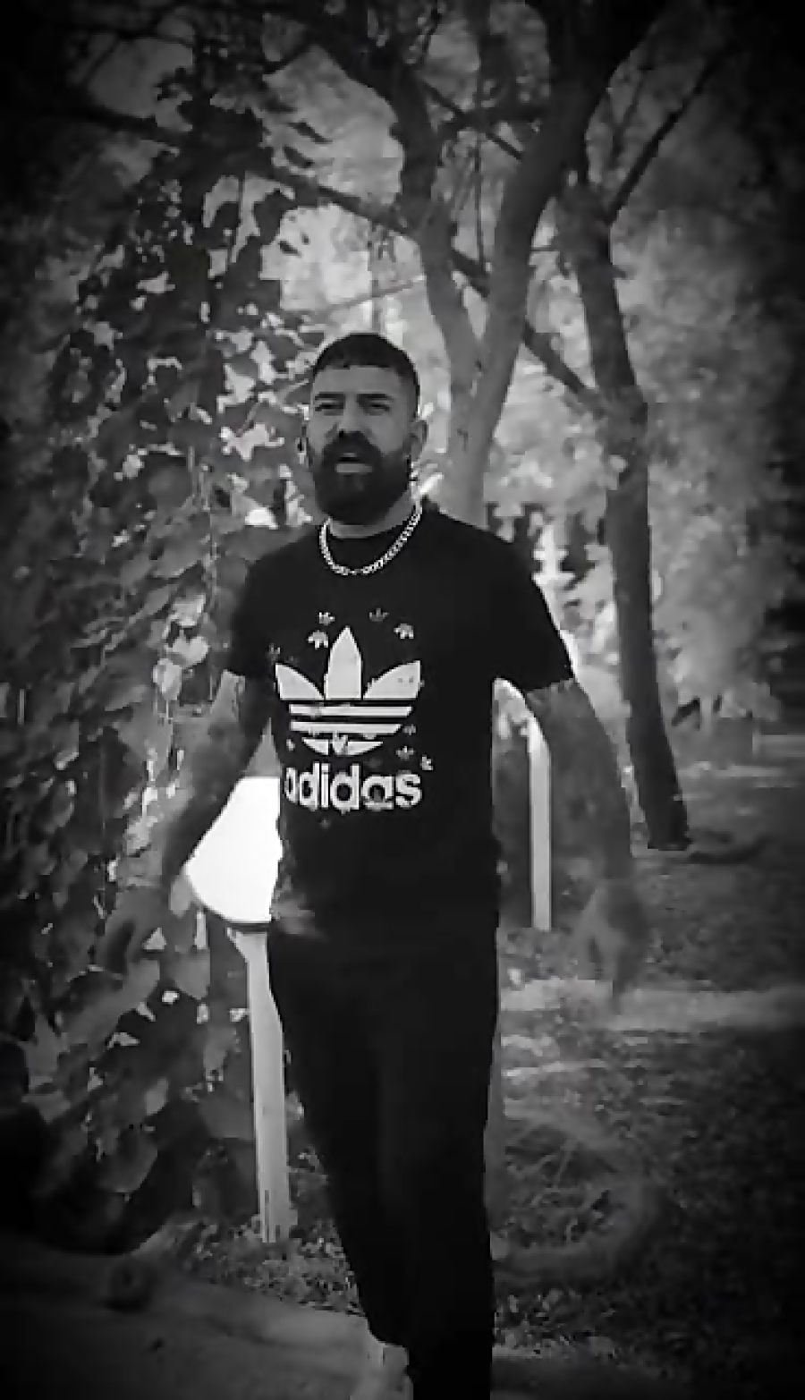 پیمان آدیداس (کلیپ دپ لاتی)