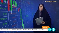 3 شرط خرید شاهین از بورس کالا 3 شرط خرید شاهین از بورس کالا