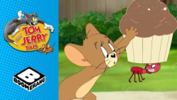 کارتون تام و جری  مشکلات دو مو...