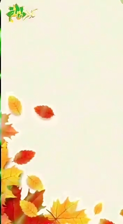 شاعرانه