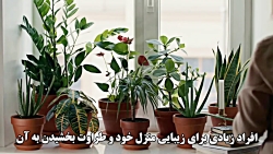 چگونه رشد گیاهان آپارتمانی روافزایش دهیم:چندروش فوق العاده برای رشدگیاهان آپارتم