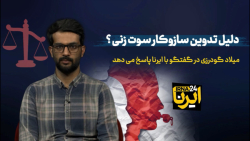 دلیل تدوین سازوکار سوت زنی؟ دلیل تدوین سازوکار سوت زنی؟