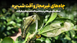 چاه های غیرمجاز و آفت شب پره چاه های غیرمجاز و آفت شب پره