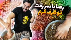 چالش کرم - رضا با سر رفت تو ظرف کرم - فارسی فرندز