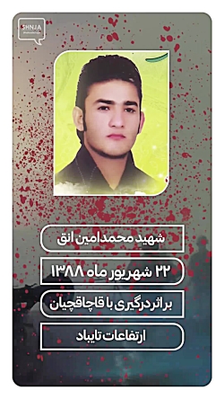 استوری شهید محمدامین انق