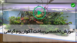 طراحی اکواریوم گیاهی-( 3روش تصفیه آب آکواریوم)