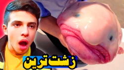 این ماهی زشت ترین موجود دنیاست...