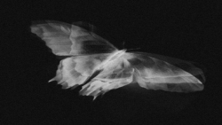 کلیپ بی تی اس بی تی اس آرمی ما...