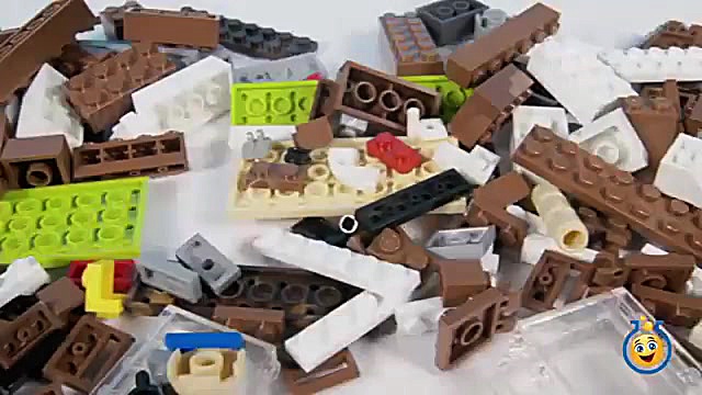 اسباب بازی های باب اسفنجی شلوار مربعی با ست بازی کراستی کراب و لانچر کرابی پتی مارال فرجاد