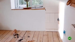 دایناسورهای غول پیکر و پوند در...