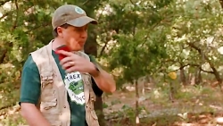 غرش و نیم گذشته! ابزار اسرارآمیز ماشین زمان در مزرعه t-rex