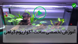 آموزش ساخت آکواریوم گیاهی-آموزش ساخت اکواریوم-( نحوه مراقبت از آب آکواریوم )