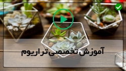 آموزش ساخت تراریوم در منزل-نحوه درست کردن تراریوم-نحوه ساخت تراریوم موزیکال