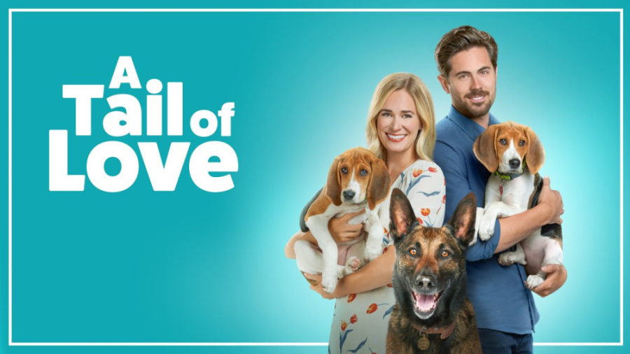 فیلم سگی به نام ایندی A Tail of Love 2022 دوبله فارسی زمان5128ثانیه