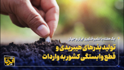 تولید بذرهای هیبریدی و قطع وابستگی کشور به واردات تولید بذرهای هیبریدی و قطع وابستگی کشور به واردات
