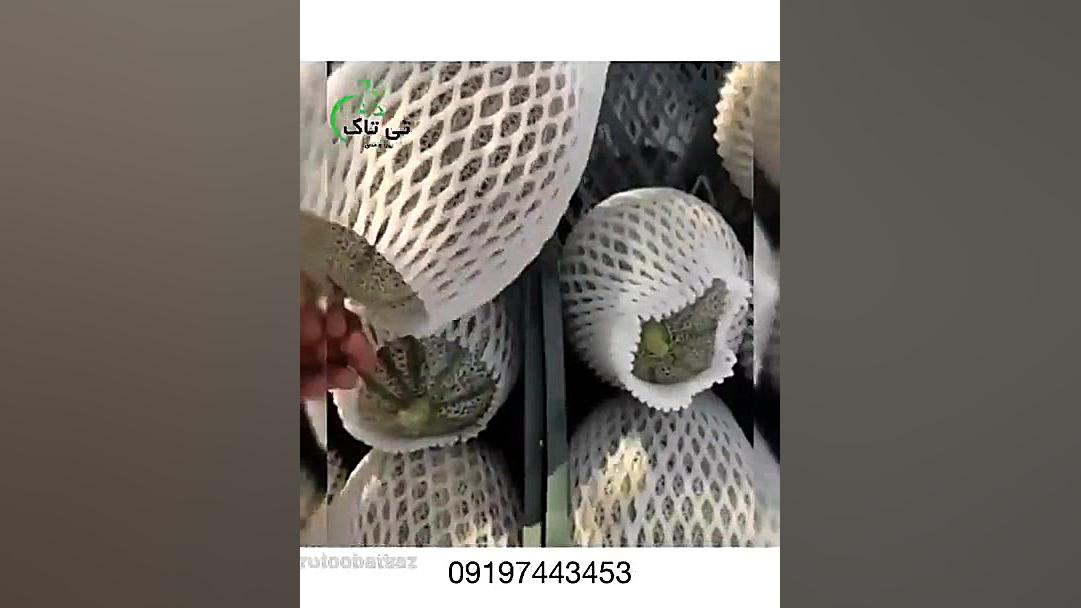 فوم توری شیشه 09199762163 برداشتن زگیل