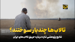 تالاب ها چندبار سوختند؟ تالاب ها چندبار سوختند؟