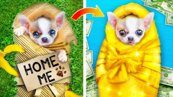 یک سگ توسط یک خانواده میلیاردر...