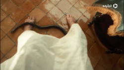 تریلر سریال ملکه مارها The Ser...