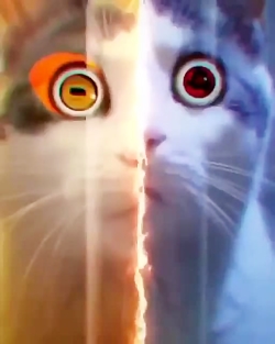 انیمه  سم بدنتون کم نشه کپی حر...