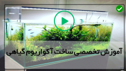 آموزش ساخت آکواریوم گیاهی-آموزش ساخت اکواریوم-(مراقبت های هفتگی از ماهی)