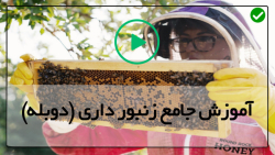 آموزش زنبورداری رایگان