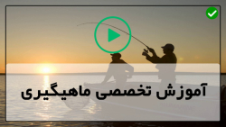 آموزش اصول اولیه ماهیگیری