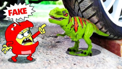 چالش: له کردن وسایل کیوت زیرما...