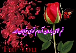 عاشقانه ترکی|آهنگ شاد|کلیپ نوشته دارجدید|عاشقانه جدید|استوری شیک|عاشقانه بغل|5