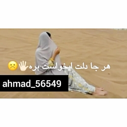 آهنگ بندری || توکه سرکارمت نها  || کلیپ بندر || به افتخار بندریایی عزیز