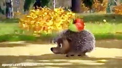 کارتون ماشا میشا  انیمیشن ماشا...