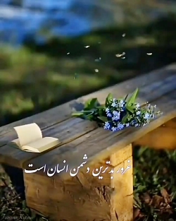 کلیپ پرمعنی/
