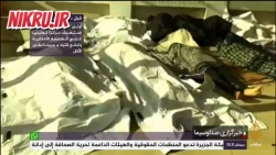 انفجار خونین در کابل با ۳۲ کشته و ۴۰ زخمی انفجار خونین در کابل با ۳۲ کشته و ۴۰ زخمی
