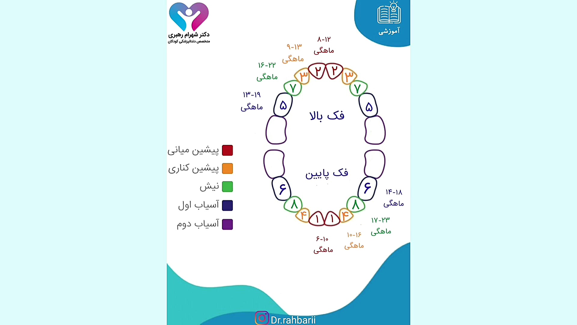 دندونای شیری بچه ها کی درمیاد؟ دکتر شهرام رهبری، متخصص دندانپزشکی کودکان دکتر شهرام رهبری - متخصص دندانپزشک کودکان