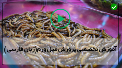 نحوه اضاف کردن میل ورم جدید