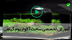 آموزش راه اندازی آکواریوم گیاهی-(کاشت گیاهان آکواریومی)
