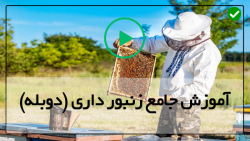 آموزش زنبورداری رایگان-زنبورداری مدرن-درمان شته واروا