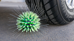 چالش: له کردن وسایل کیوت زیرما...