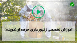 زنبور داری