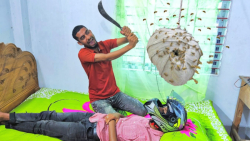 کلیپ خنده دار هندی &lt; طنز هن...