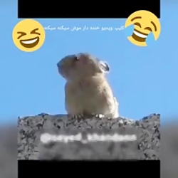 ویدئو طنز سکینه