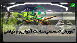 آموزش ساخت آکواریوم گیاهی-ساخت آکواریوم مناسب پلنت