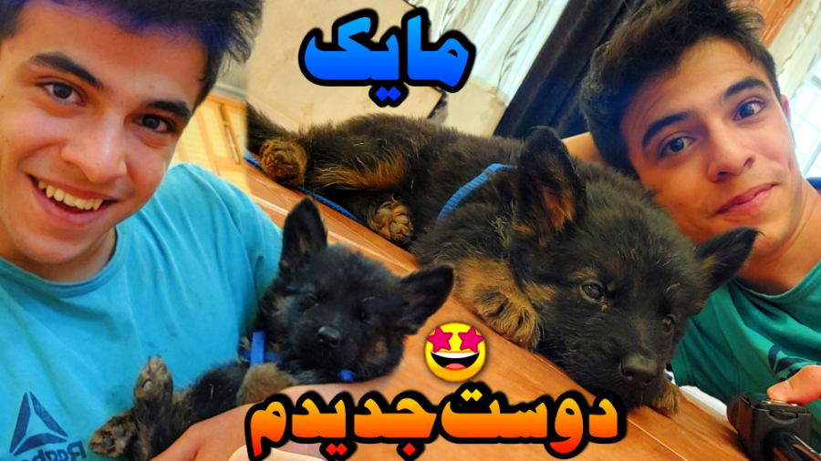 بالاخره حیوون خونگی خریدم !! د...